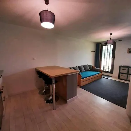 Confortable Studio 37M2 Netflix Canal+... Albertville Exterior foto
